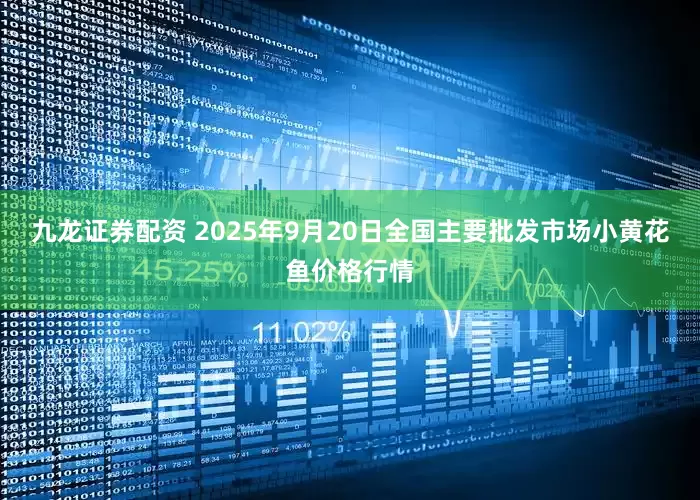九龙证券配资 2025年9月20日全国主要批发市场小黄花鱼价格行情